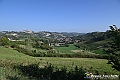 VBS_5704 - C'è un mare di velluto verde! E tu che sognavi di andare lontano... Quanta meraviglia, quì!
